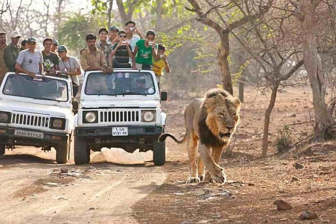 Day: 2 [Sasan Gir ---- Somnath ]