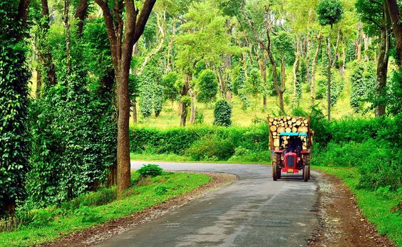 Day: 1 [Arrive at Coorg | Welcome to the City of Steep Hills & Countless Streams]