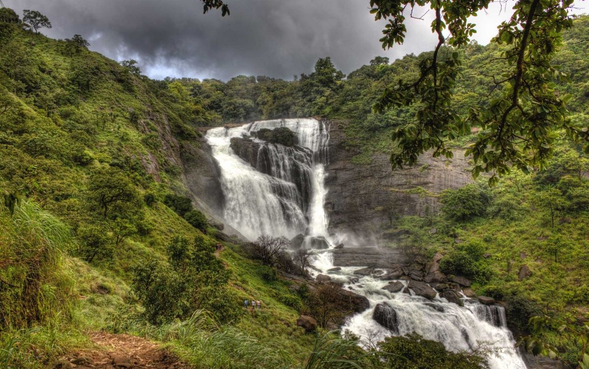 Day: 2 [Coorg  local Sightseeing ]