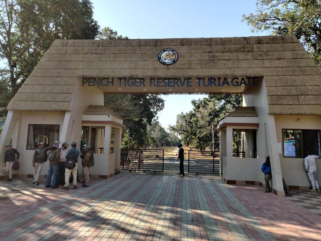 Day: 2 [Pench National Park | jungle safari]