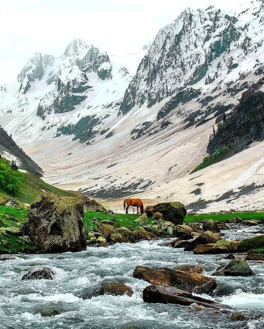 Day: 1 [Arrival in Srinagar --- Sonmarg]